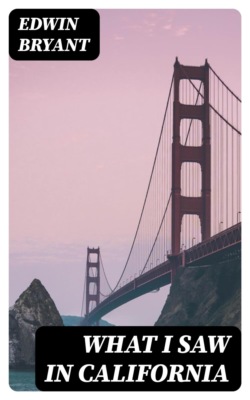 What I Saw in California
