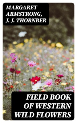 Field Book of Western Wild Flowers