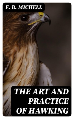 The Art and Practice of Hawking