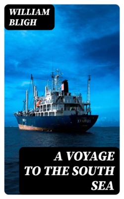 A Voyage to the South Sea