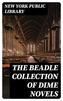 The Beadle Collection of Dime Novels