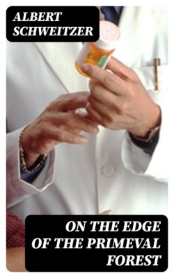 On the Edge of the Primeval Forest