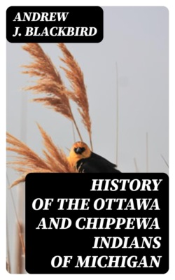 History of the Ottawa and Chippewa Indians of Michigan
