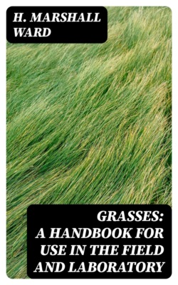 Grasses: A Handbook for use in the Field and Laboratory