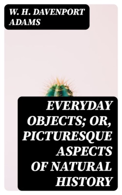 Everyday Objects; Or, Picturesque Aspects of Natural History