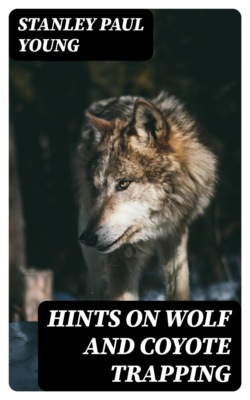 Hints on Wolf and Coyote Trapping