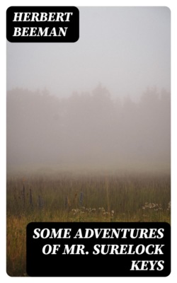 Some Adventures of Mr. Surelock Keys