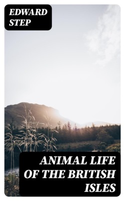 Animal Life of the British Isles