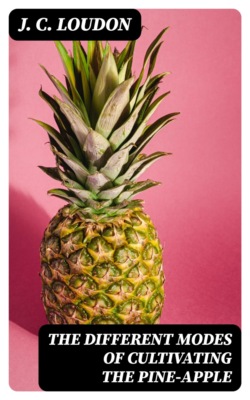 The different modes of cultivating the pine-apple