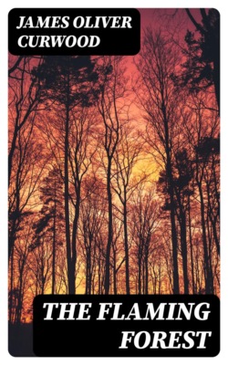 The Flaming Forest