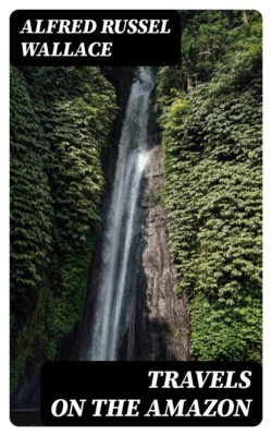 Travels on the Amazon