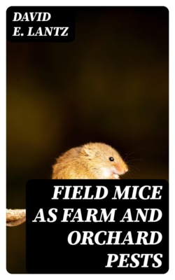 Field Mice as Farm and Orchard Pests