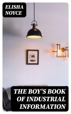 The Boy's Book of Industrial Information