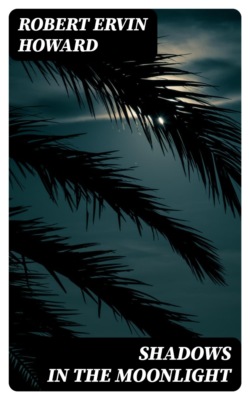 Shadows in the Moonlight