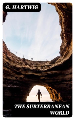 The Subterranean World