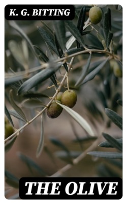 The Olive