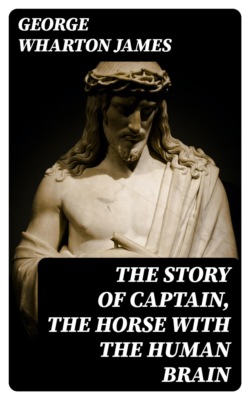 The Story of Captain, the Horse with the Human Brain