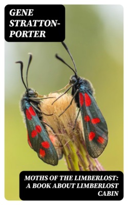 Moths of the Limberlost: A Book About Limberlost Cabin