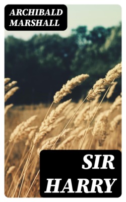 Sir Harry