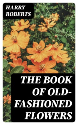 The Book of Old-Fashioned Flowers