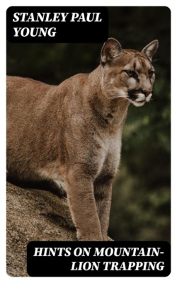 Hints on Mountain-Lion Trapping