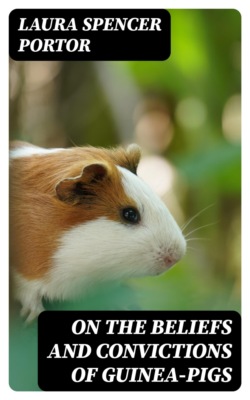 On the Beliefs and Convictions of Guinea-Pigs