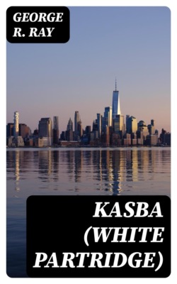 Kasba (White Partridge)