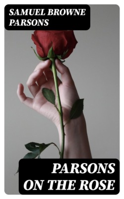 Parsons on the Rose