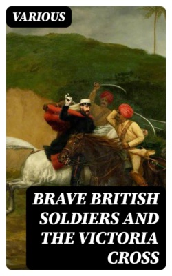 Brave British soldiers and the Victoria Cross