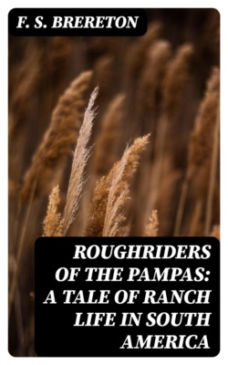 Roughriders of the Pampas: A Tale of Ranch Life in South America