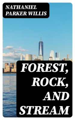Forest, Rock, and Stream