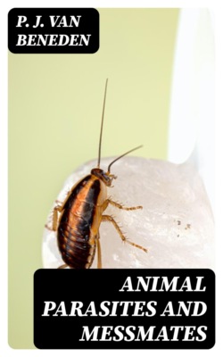 Animal Parasites and Messmates
