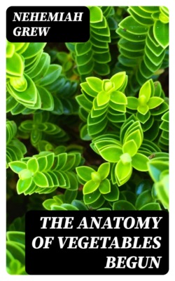 The Anatomy of Vegetables Begun