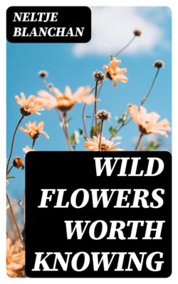 Wild Flowers Worth Knowing