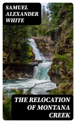 The Relocation of Montana Creek