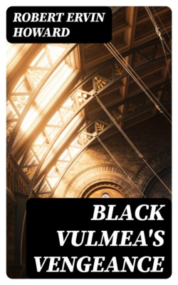 Black Vulmea's Vengeance