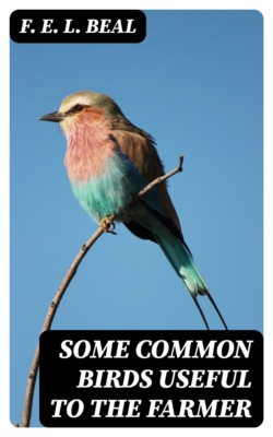 Some Common Birds Useful to the Farmer