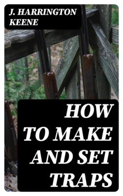 How to Make and Set Traps