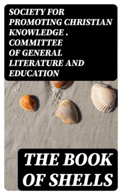 The Book of Shells