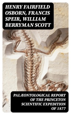 Palæontological Report of the Princeton Scientific Expedition of 1877