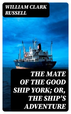 The Mate of the Good Ship York; Or, The Ship's Adventure