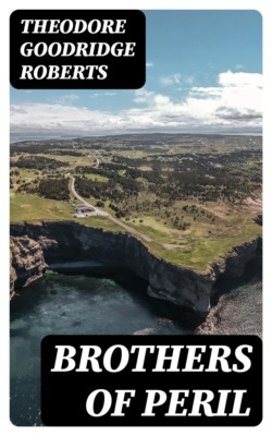 Brothers of Peril