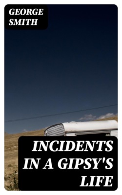 Incidents in a Gipsy's Life