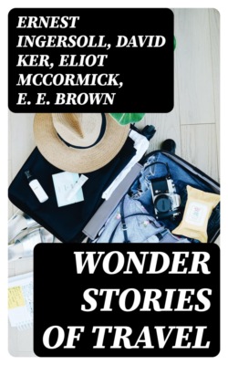 Wonder Stories of Travel