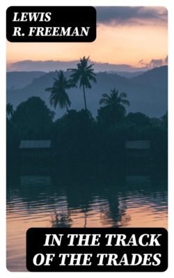 In the Track of the Trades