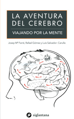 La aventura del cerebro
