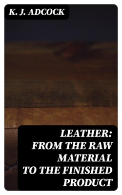 Leather: From the Raw Material to the Finished Product