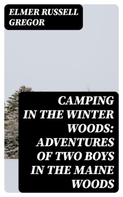 Camping in the Winter Woods: Adventures of Two Boys in the Maine Woods