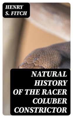 Natural History of the Racer Coluber constrictor