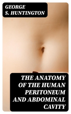 The Anatomy of the Human Peritoneum and Abdominal Cavity